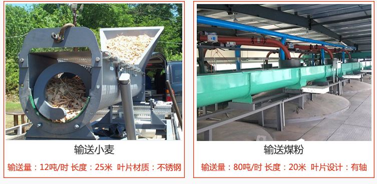 絞龍螺旋輸送機(jī)輸送小麥輸送量在12噸/時(shí)，長度為25米，葉片采用不銹鋼材質(zhì)；輸送水泥輸送量在80噸/時(shí)，長度為20米，葉片設(shè)計(jì)為有軸。